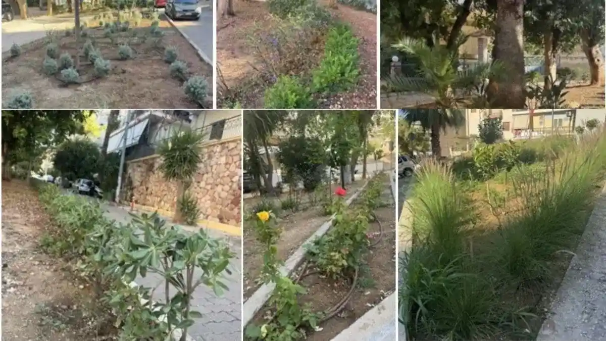 Εργασίες φύτευσης νέων δέντρων και τοποθέτησης φυτοχώματος στον πεζόδρομο Αγίου Δημητρίου στον Άλιμο