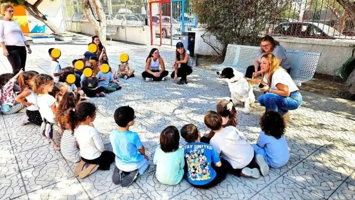 Ο Μπρούνο, σκύλος που αναζητά οικογένεια, στη φιλοζωική δράση της Γλυφάδας
