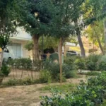 Άλιμος: 2.284 νέα φυτά στον πεζόδρομο Αγίου Δημητρίου
