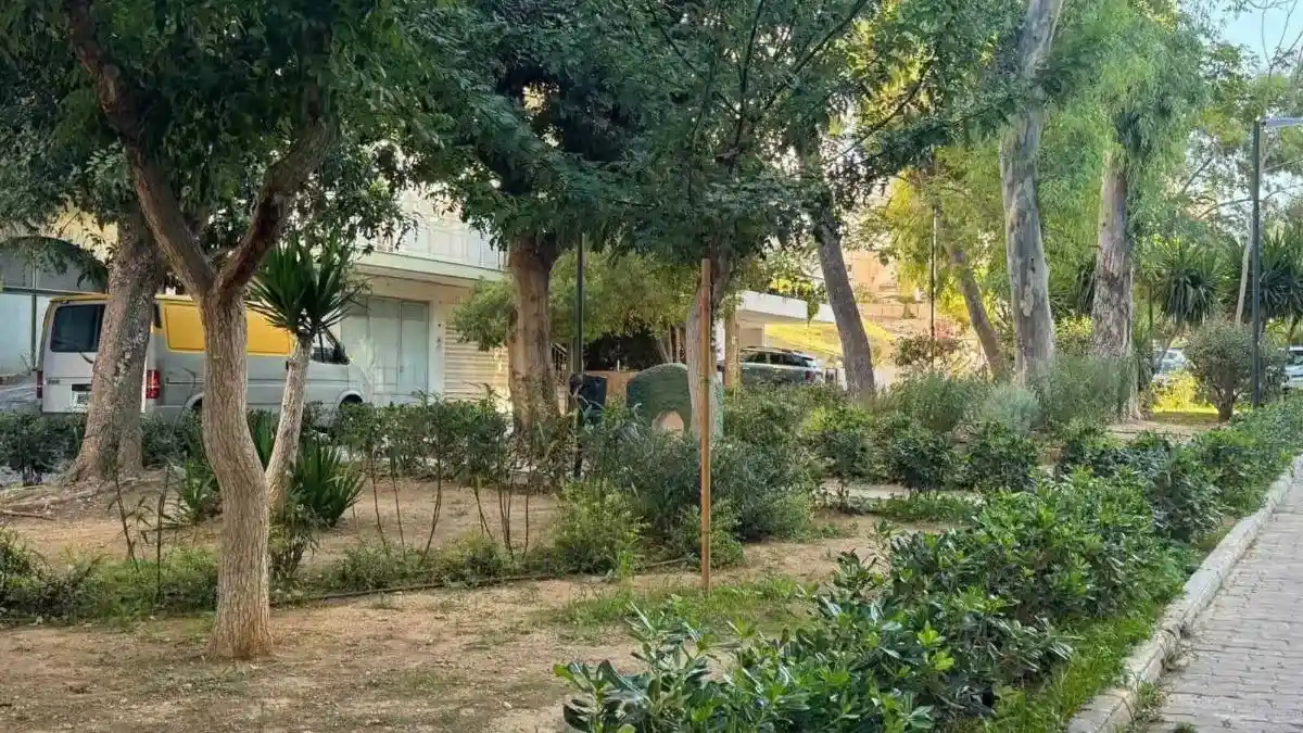 Θάμνοι και δέντρα στον αναπλασμένο πεζόδρομο Αγίου Δημητρίου